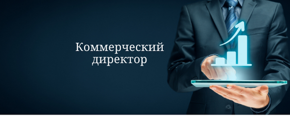 Коммерческий директор: зарплата, функции, конфликт интересов с учредителем. Нужен или не нужен?