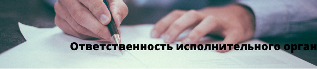 Какие 4 вида ответственности могут наступать для исполнительного органа предприятия